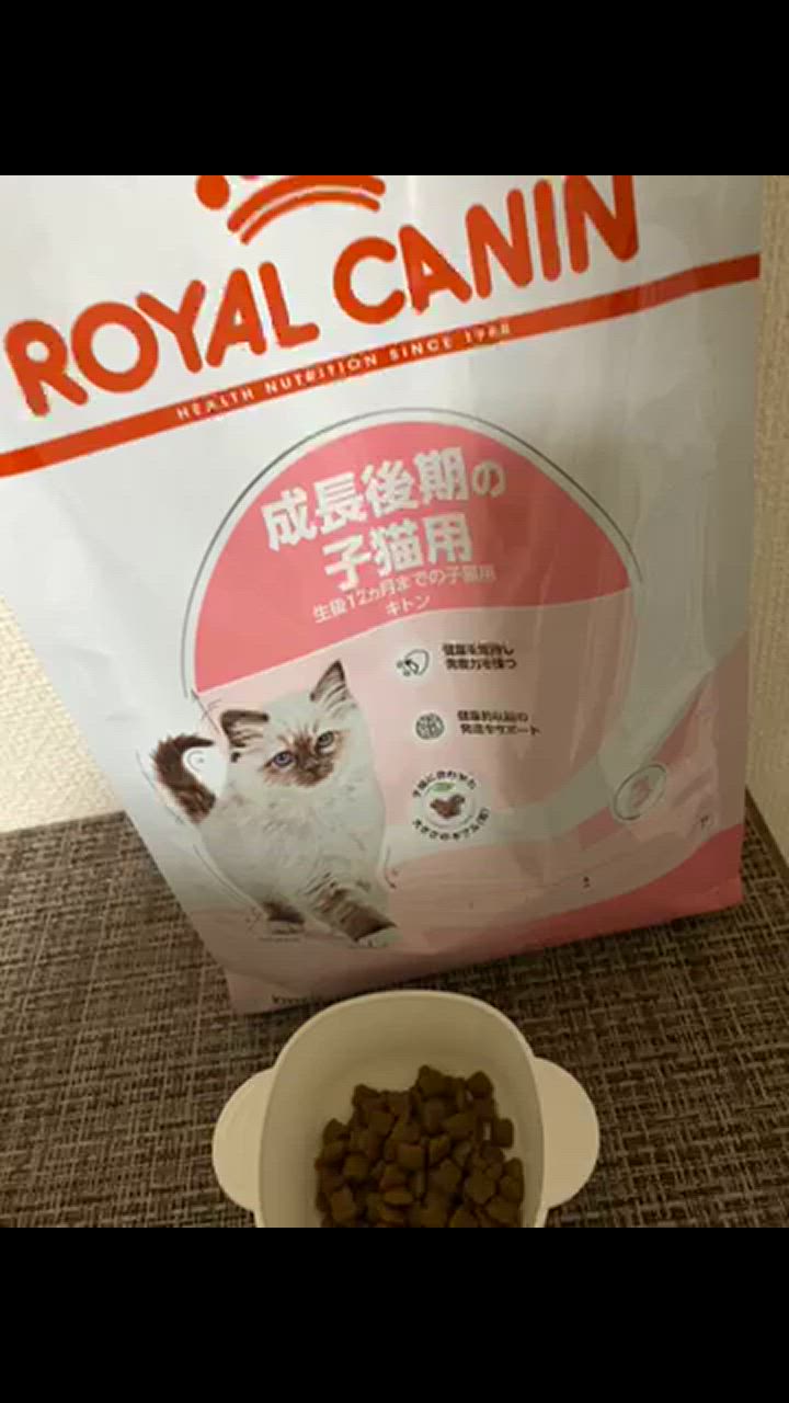 【新品】ロイヤルカナン　猫　キトン　成長後期の子猫用　12ヵ月まで　2kg 2袋 ロイヤルカナン キトン 2kg 子猫用 母猫用 全猫種用 生後12カ月
