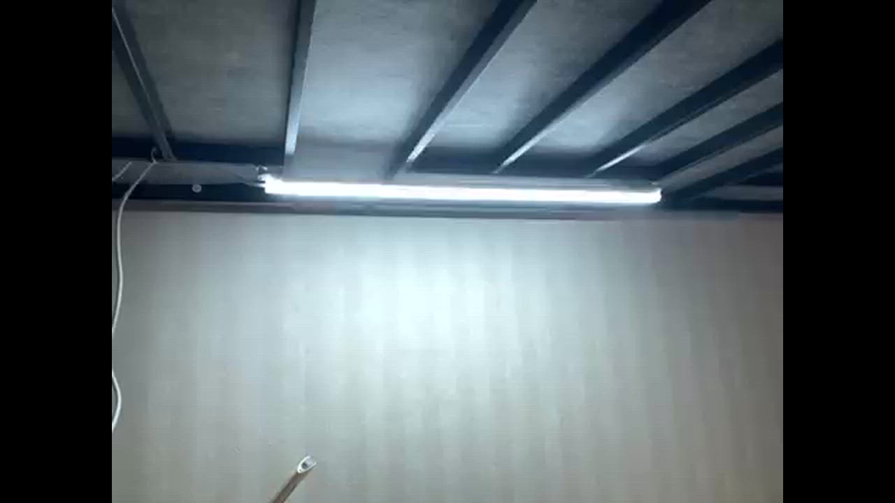 全体のレビュー動画のサムネイル | 1