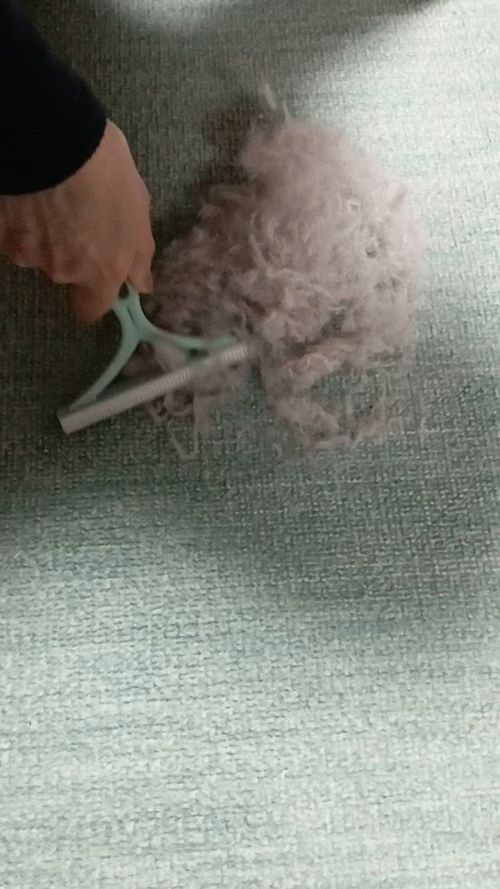 全体のレビュー動画のサムネイル | 0