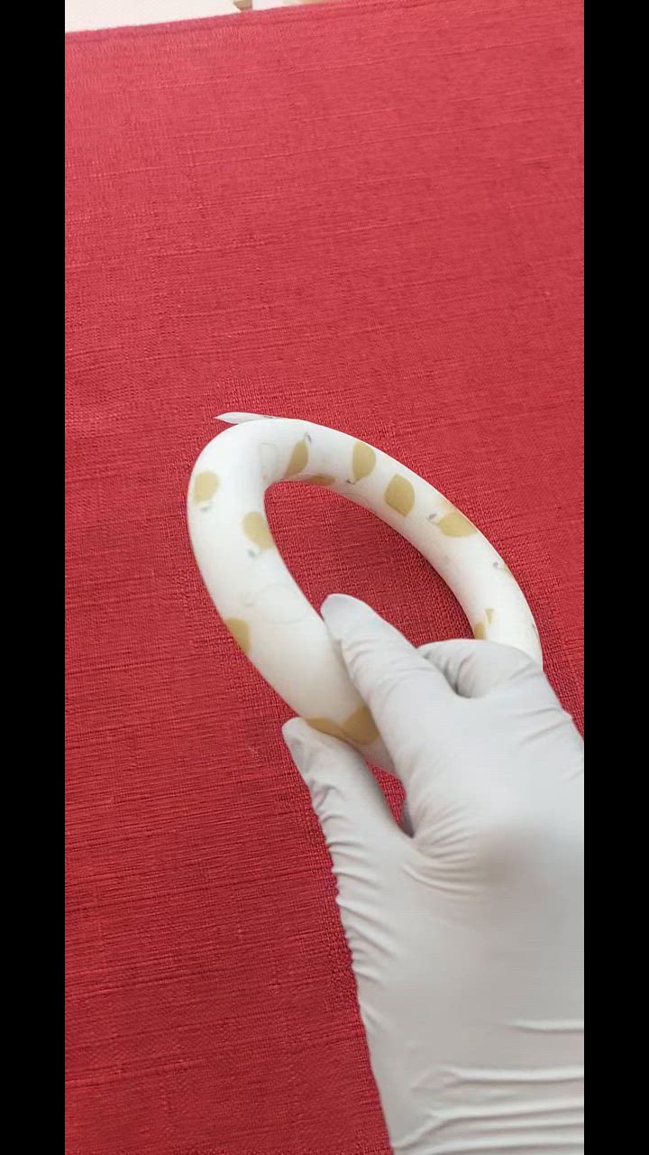全体のレビュー動画のサムネイル | 0