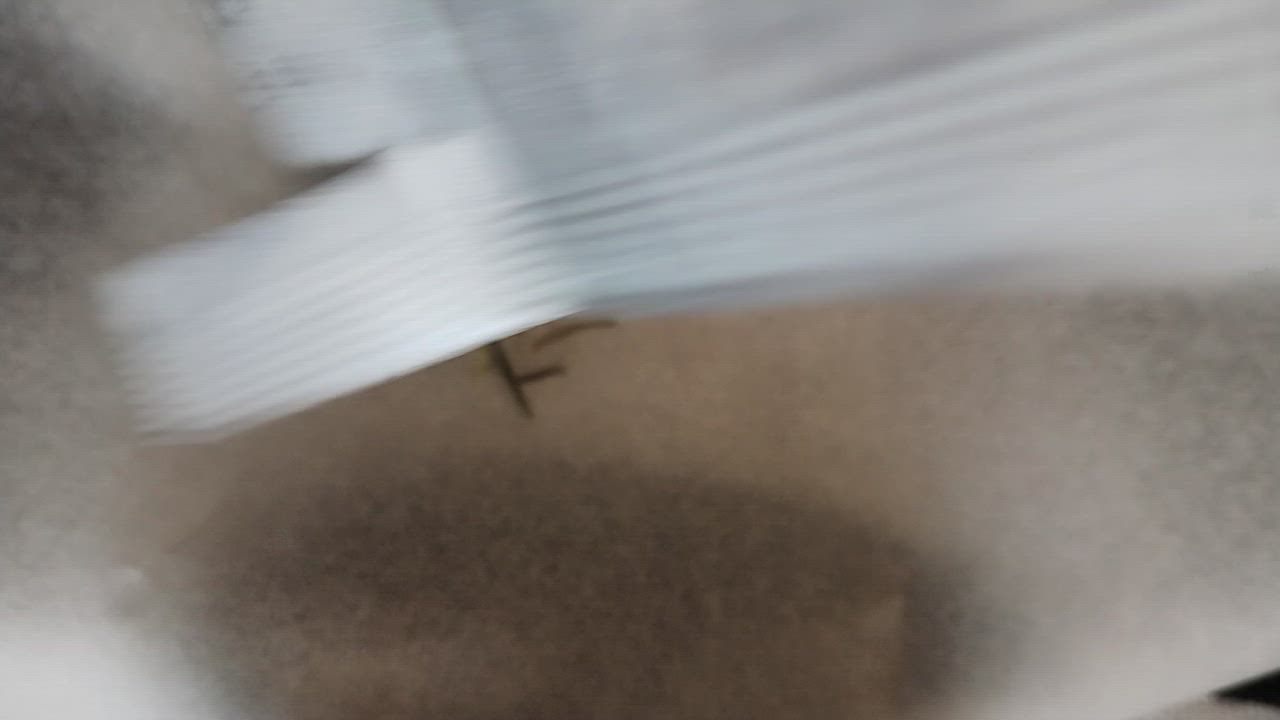 全体のレビュー動画のサムネイル | 6