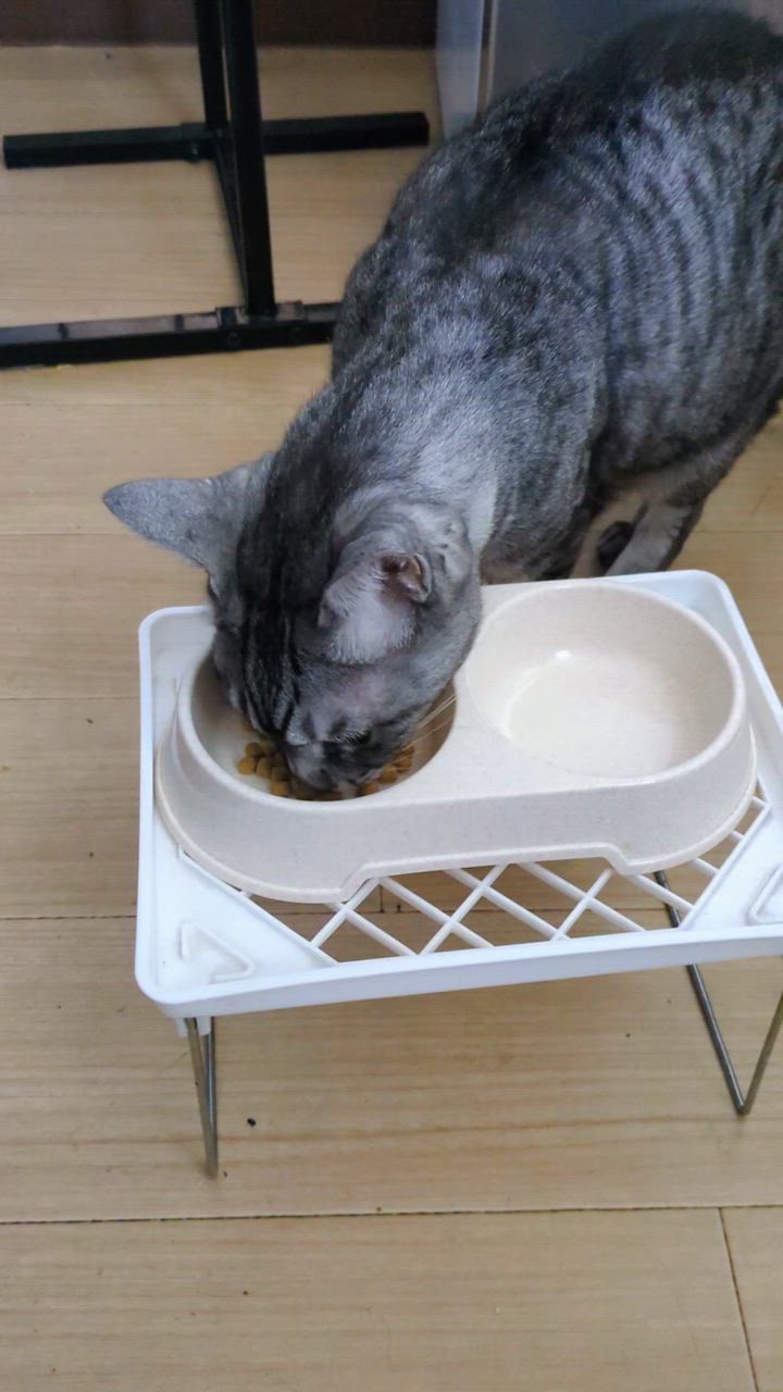 ヒルズ w/d ダブリューディー 4kg 猫用ドライフード ヒルズ 食事療法食 猫用 w/d ダブリューディー 消化・体重