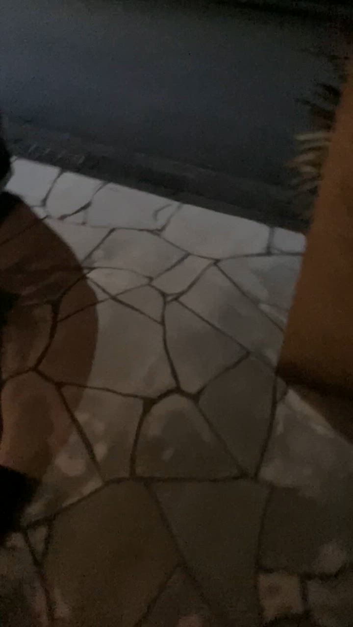 全体のレビュー動画のサムネイル | 19