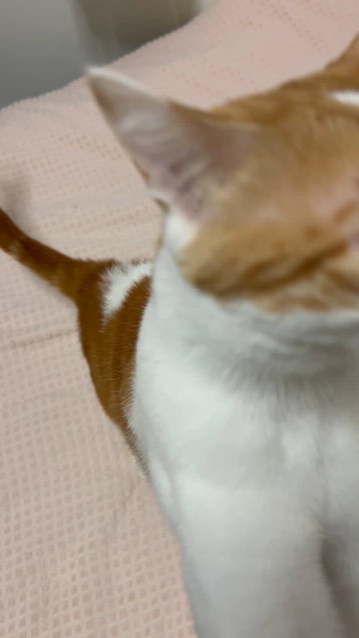 1件目のレビュー動画のサムネイル | 0