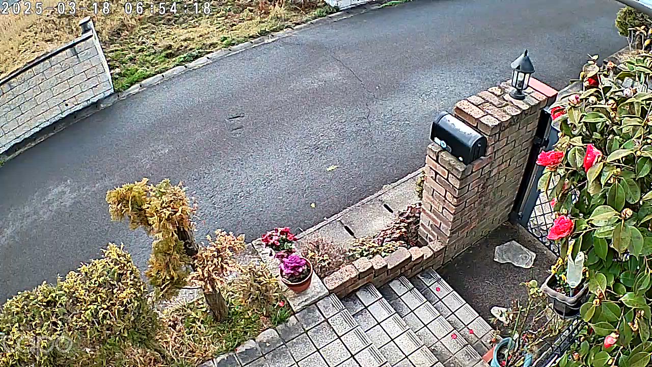 全体のレビュー動画のサムネイル | 5