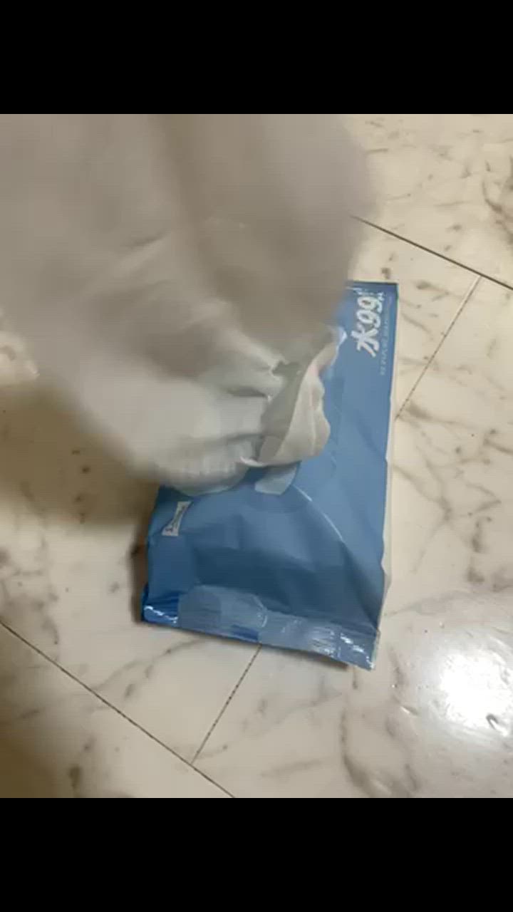 全体のレビュー動画のサムネイル | 10