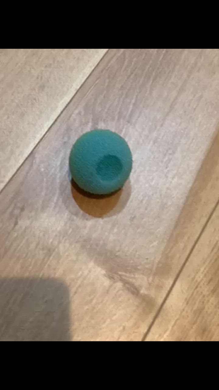 全体のレビュー動画のサムネイル | 15