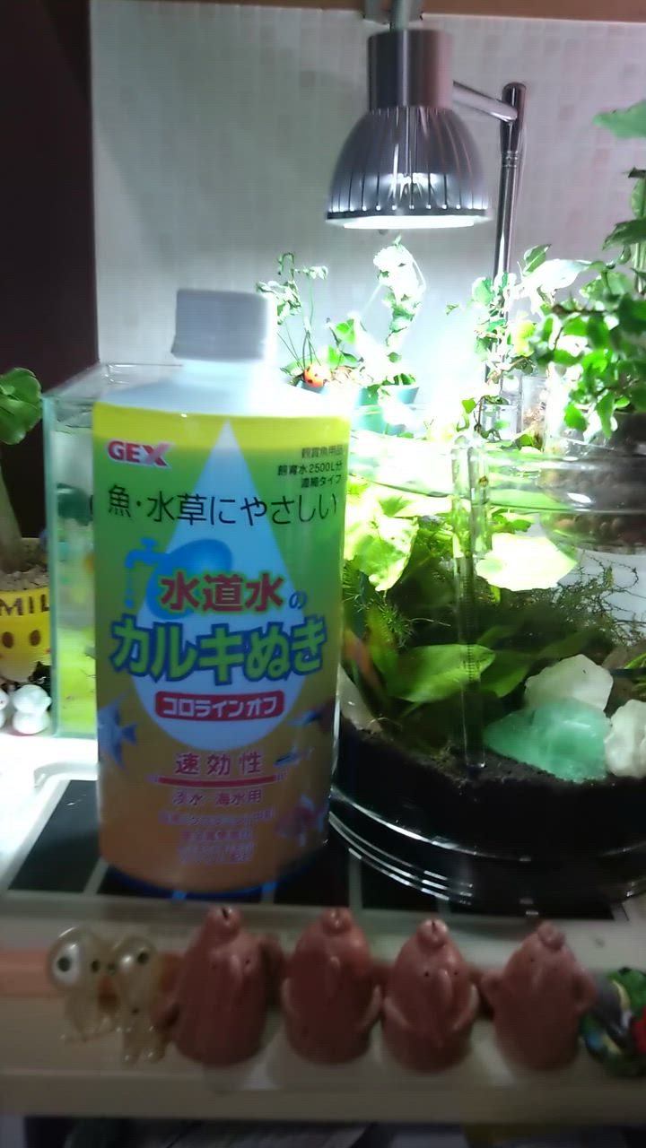 全体のレビュー動画のサムネイル | 0