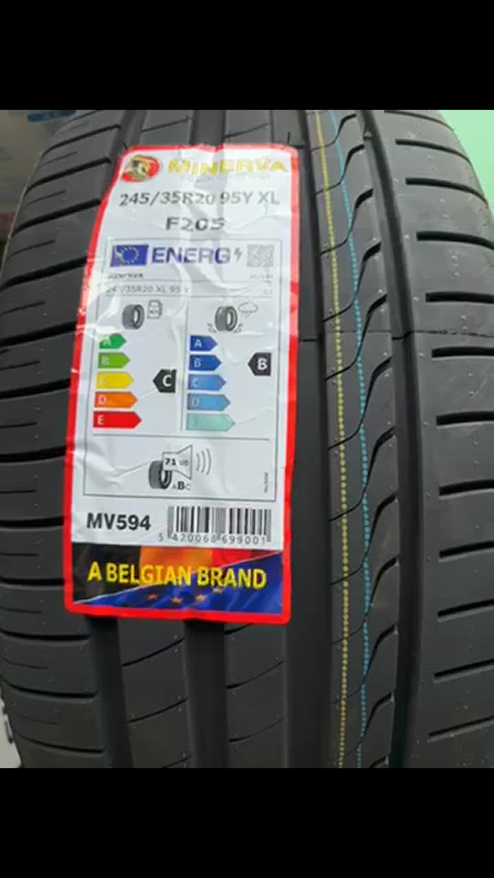 MINERVA 245/35R20 タイヤ サマータイヤ ミネルバ F205