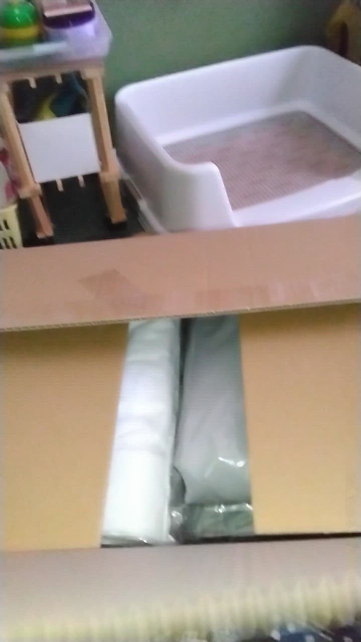 全体のレビュー動画のサムネイル | 1