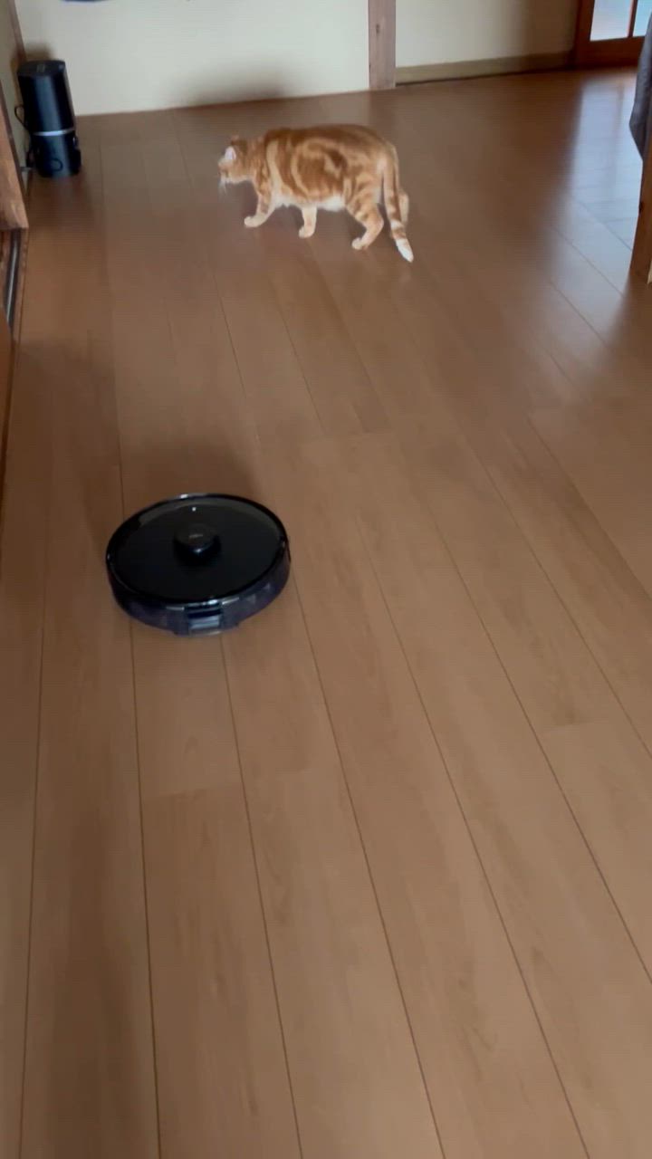 全体のレビュー動画のサムネイル | 5