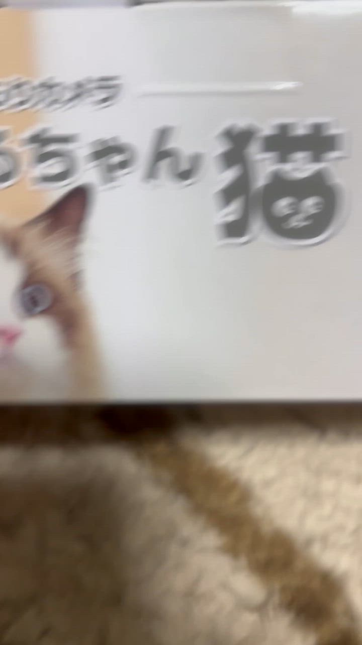 全体のレビュー動画のサムネイル | 2