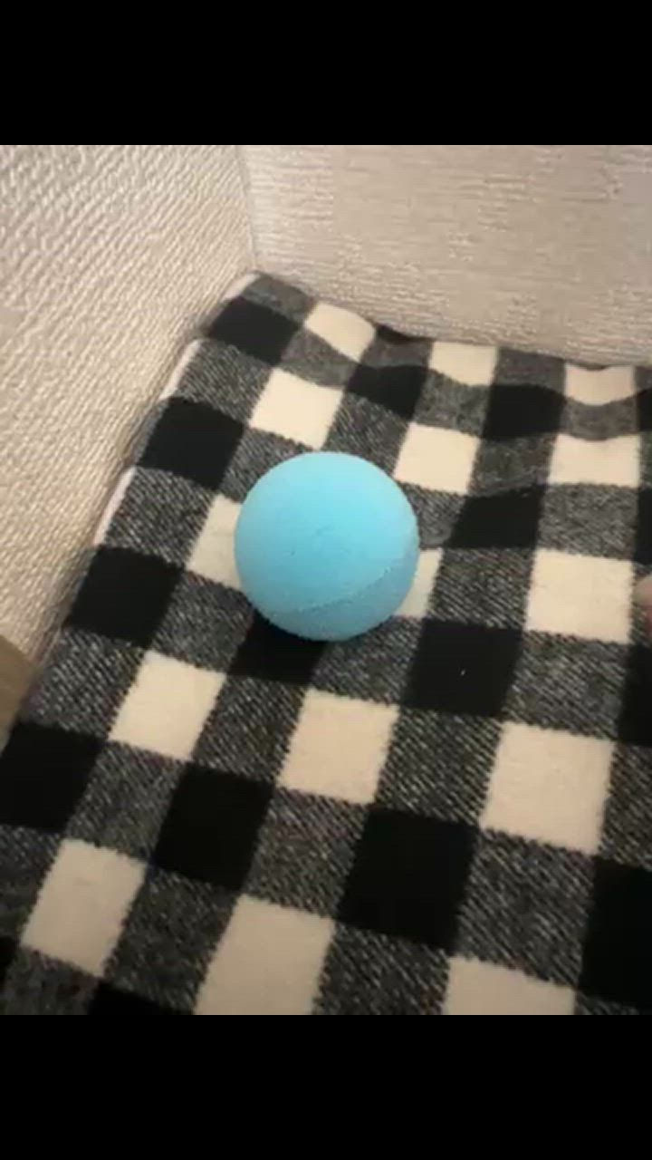 全体のレビュー動画のサムネイル | 13