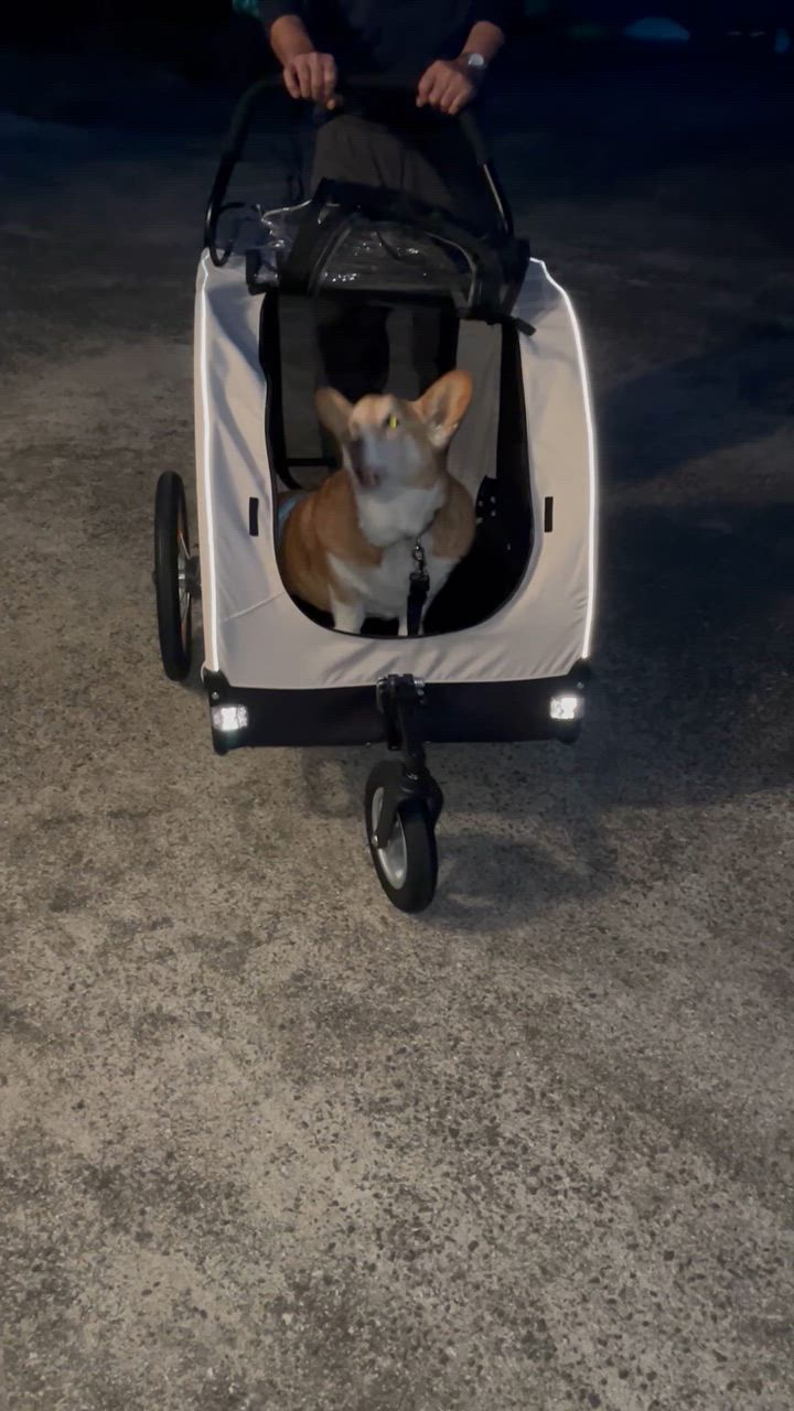 楽天市場】【公式】TUNERSアニマル 犬 首輪 健康 ヘルニア