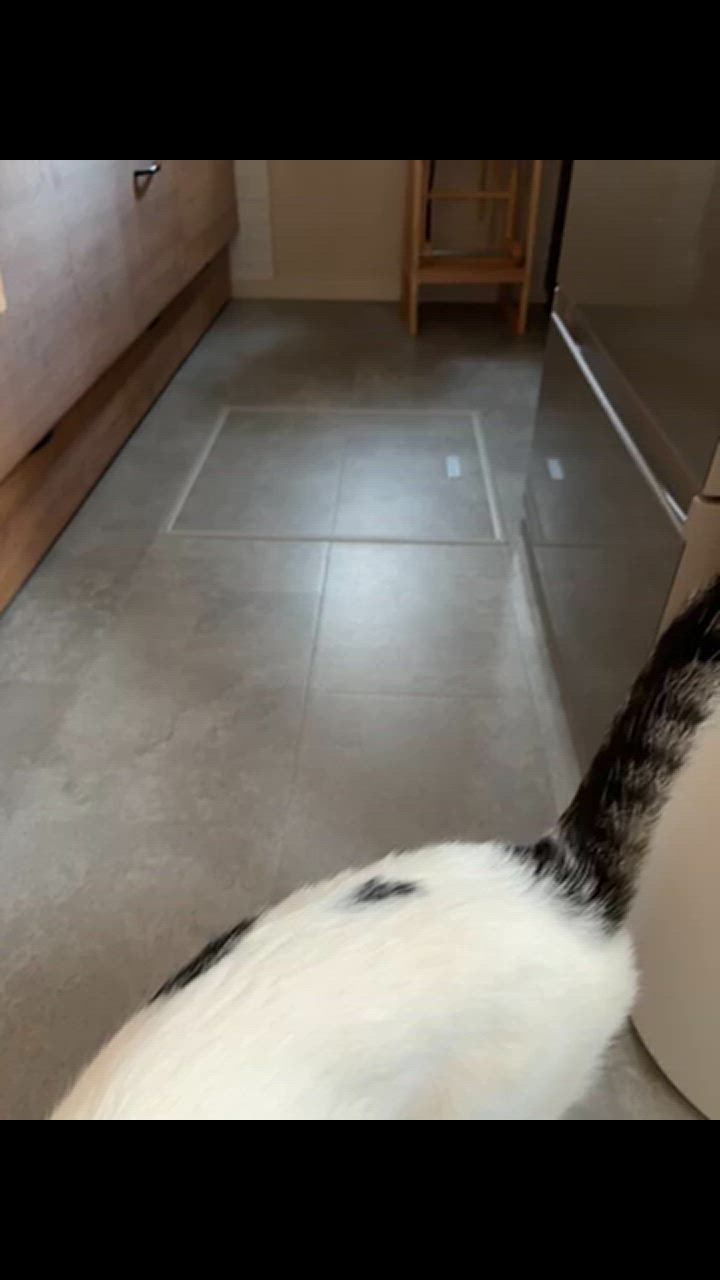 全体のレビュー動画のサムネイル | 1