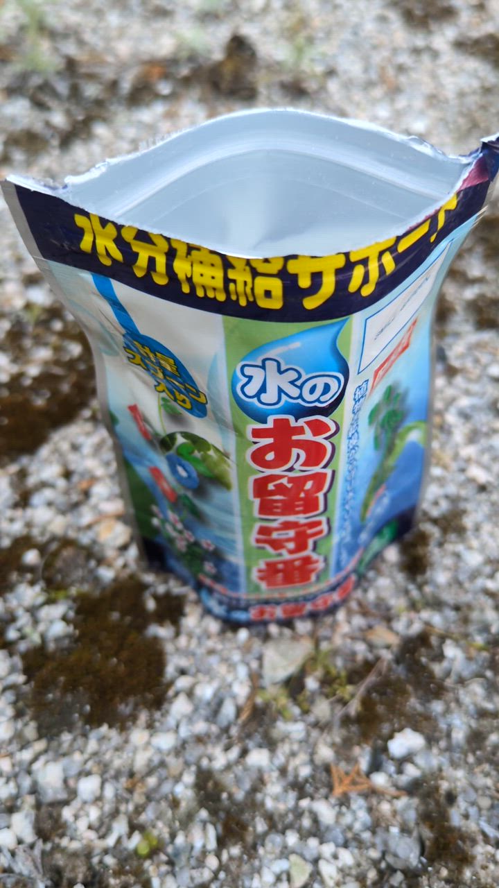 1件目のレビュー動画のサムネイル | 0