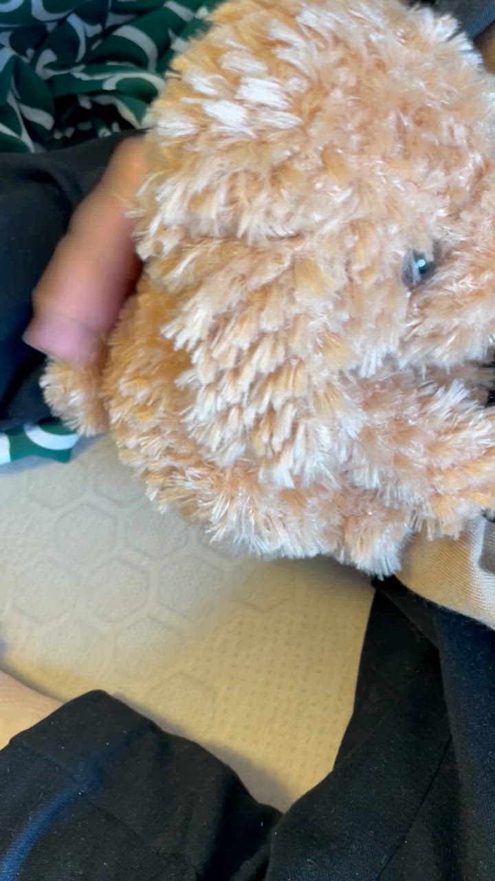 しゃべる犬 ぬいぐるみ おしゃべりトイプードル 音声認識 人形