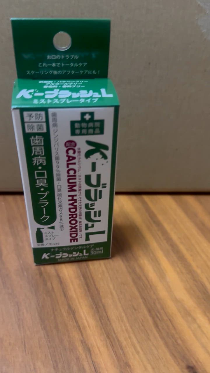 K−ブラッシュL 30ml スプレータイプ (口腔ケア マウスケア