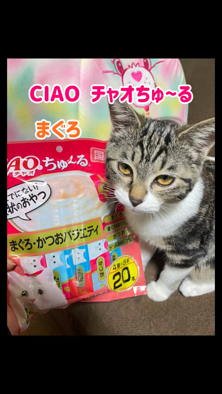 全体のレビュー動画のサムネイル | 0