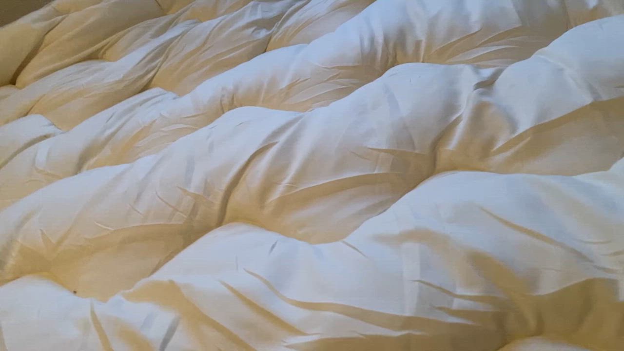 全体のレビュー動画のサムネイル | 1