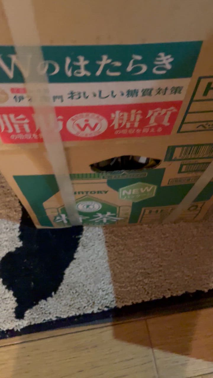 全体のレビュー動画のサムネイル | 0