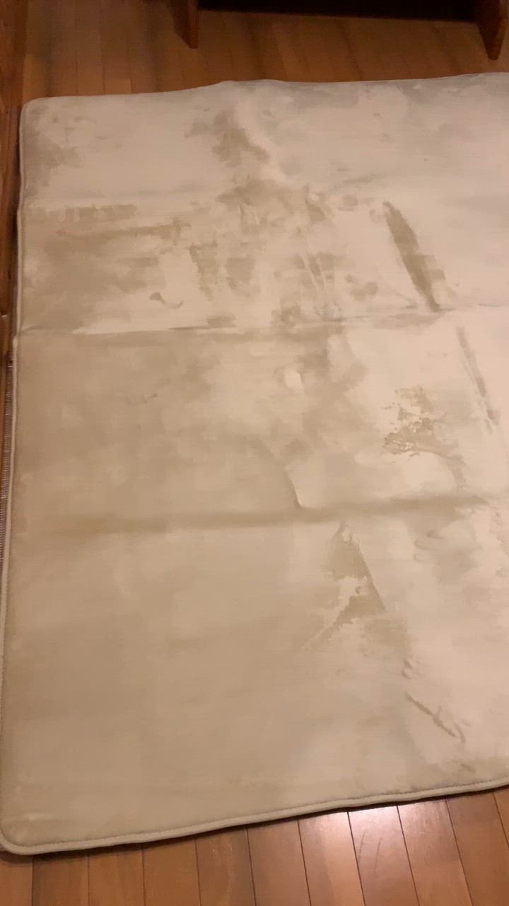 全体のレビュー動画のサムネイル | 1