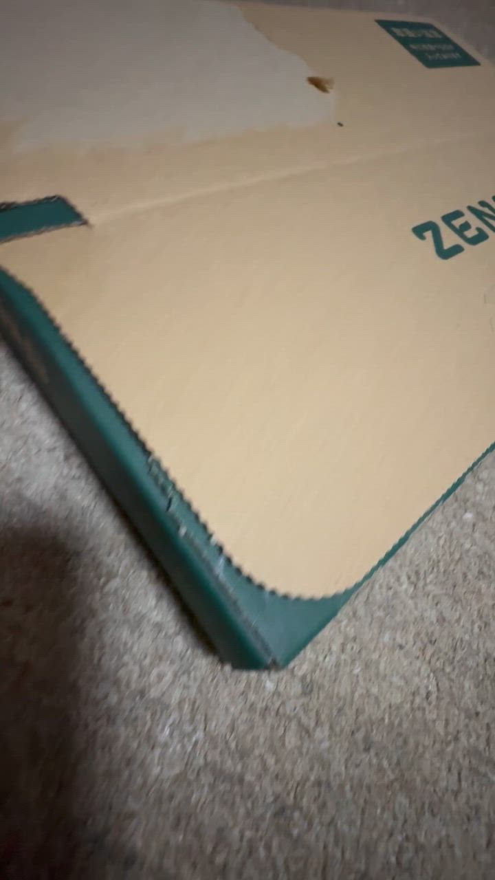 全体のレビュー動画のサムネイル | 4