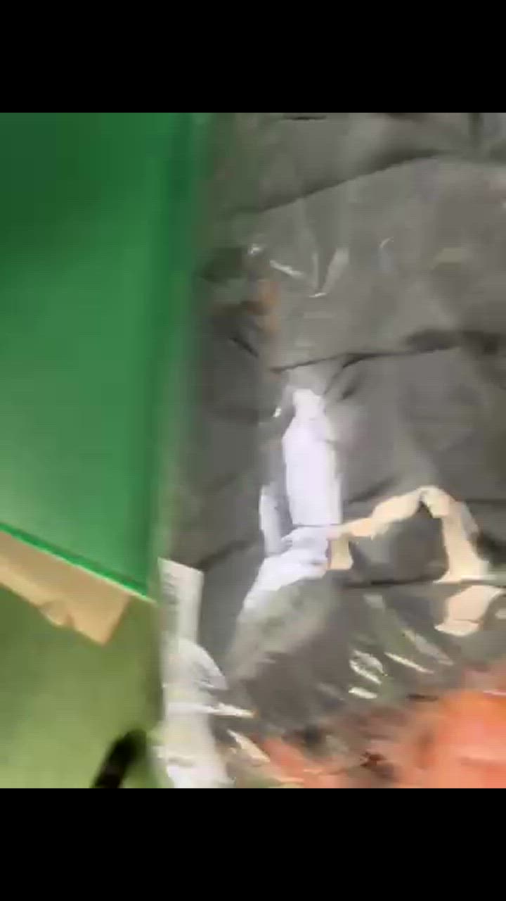 全体のレビュー動画のサムネイル | 1