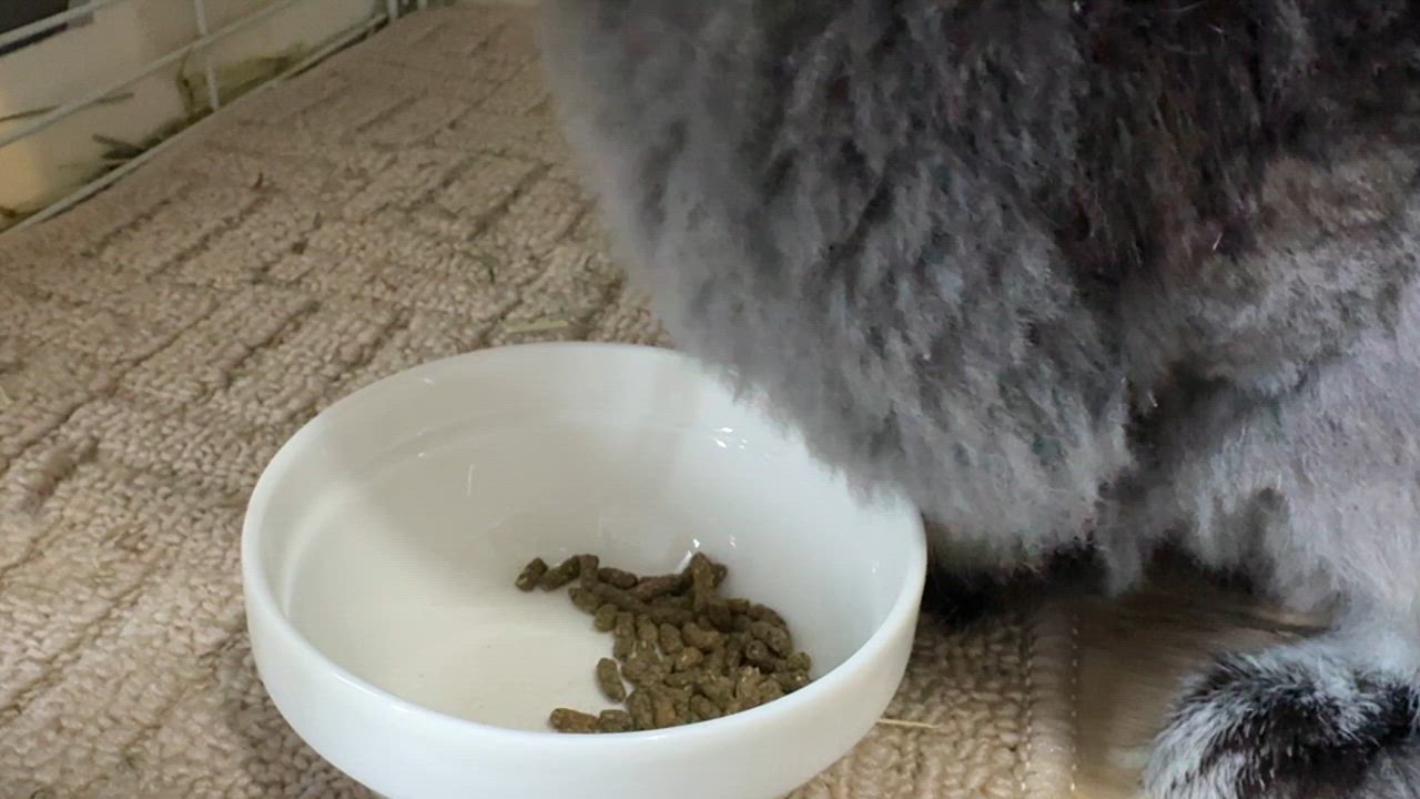 全体のレビュー動画のサムネイル | 0