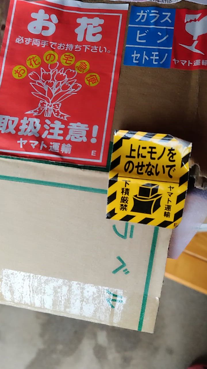 全体のレビュー動画のサムネイル | 0