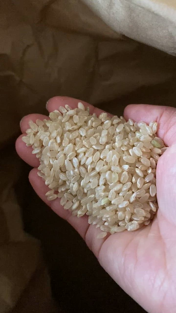 販売終了】令和6年産 米 玄米 米 30kg 宮城県産 ササニシキ 玄米