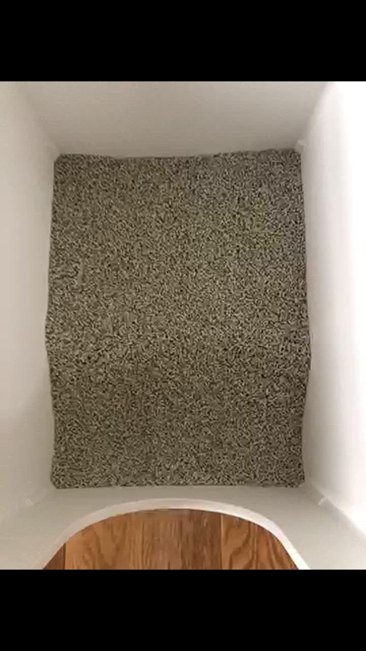 全体のレビュー動画のサムネイル | 9