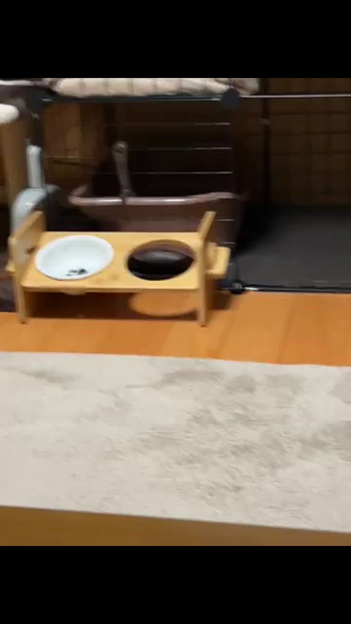 全体のレビュー動画のサムネイル | 0
