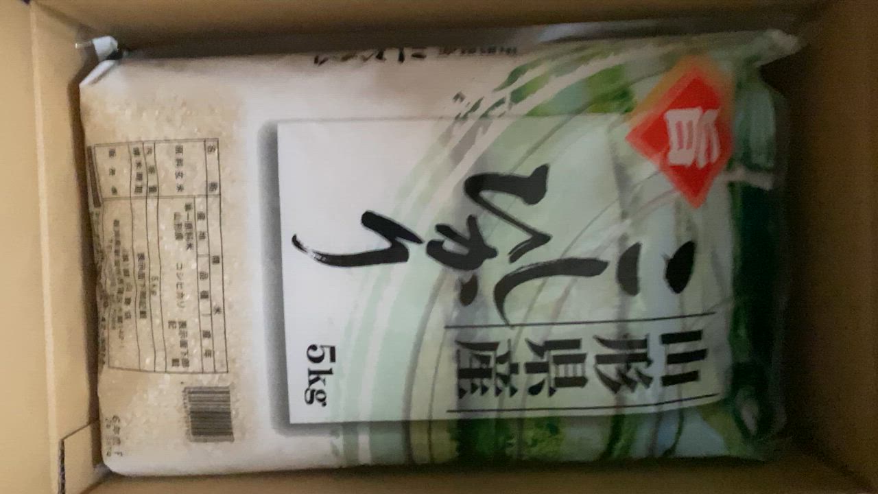 コシヒカリ 米 10kg 山形産コシヒカリ お米 10キロ 令和6年産