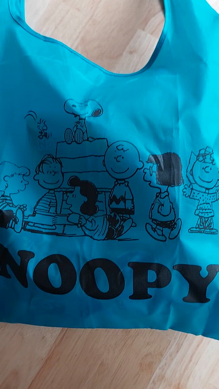 スヌーピー アーバンセレクトショップ コンプリート 大人買い 未開封品 2箱 スヌーピー アーバンセレクトショップ コンプリート 大人買い 未開封品