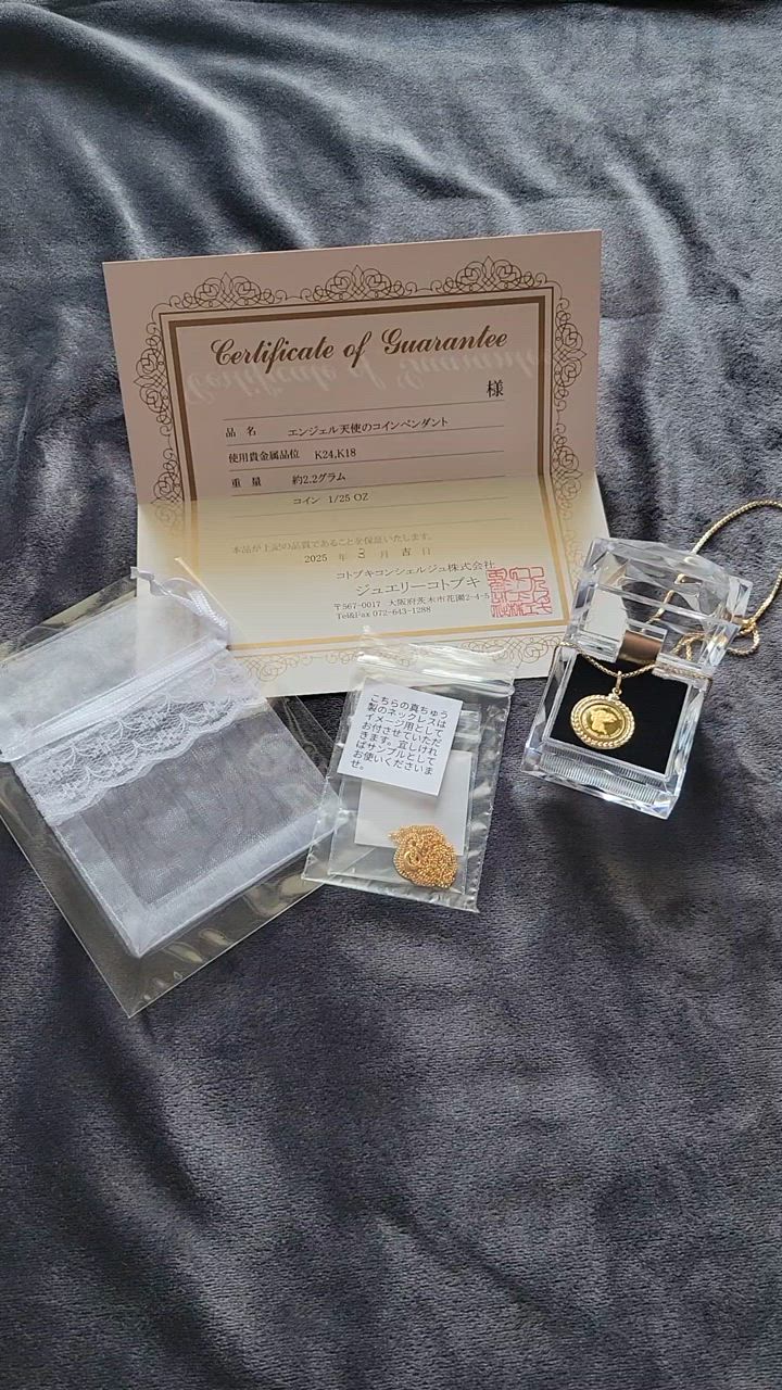 コイン ペンダント エンジェル 天使の羽 コインペンダントトップ