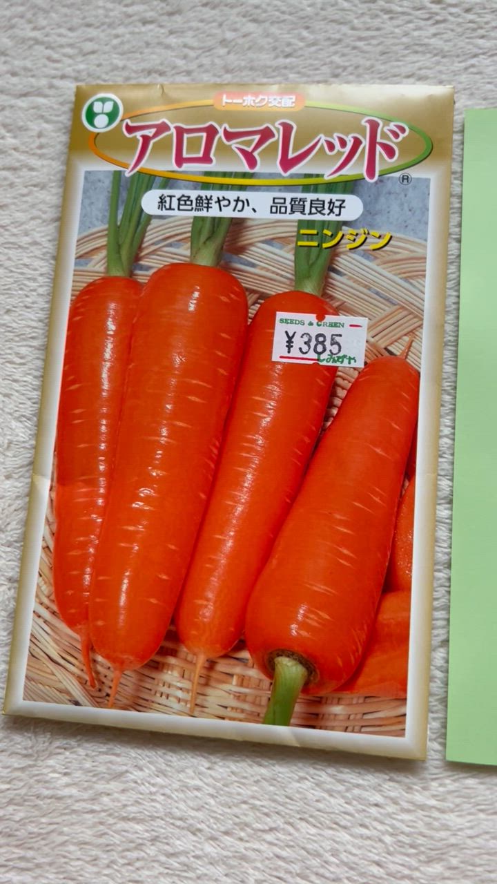 ニンジン種子】トーホク交配 「アロマレッド」 5ml : 清水屋種苗