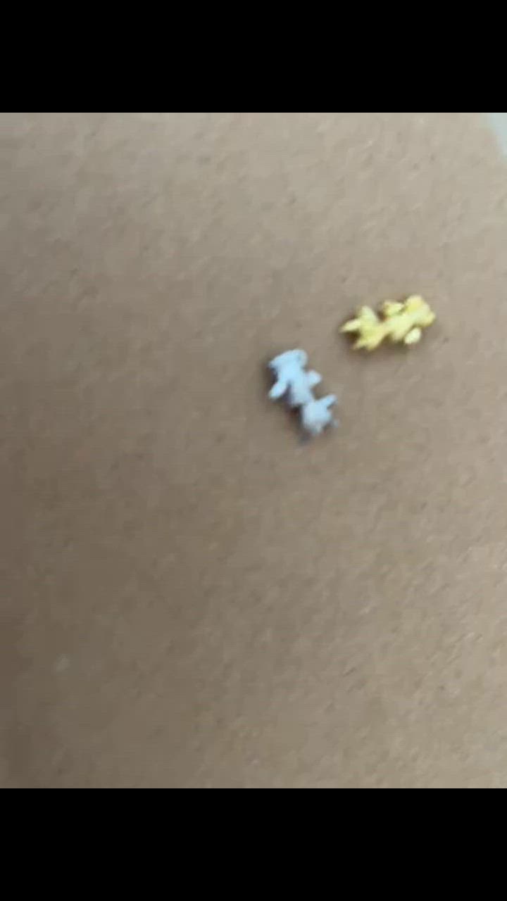 全体のレビュー動画のサムネイル | 0