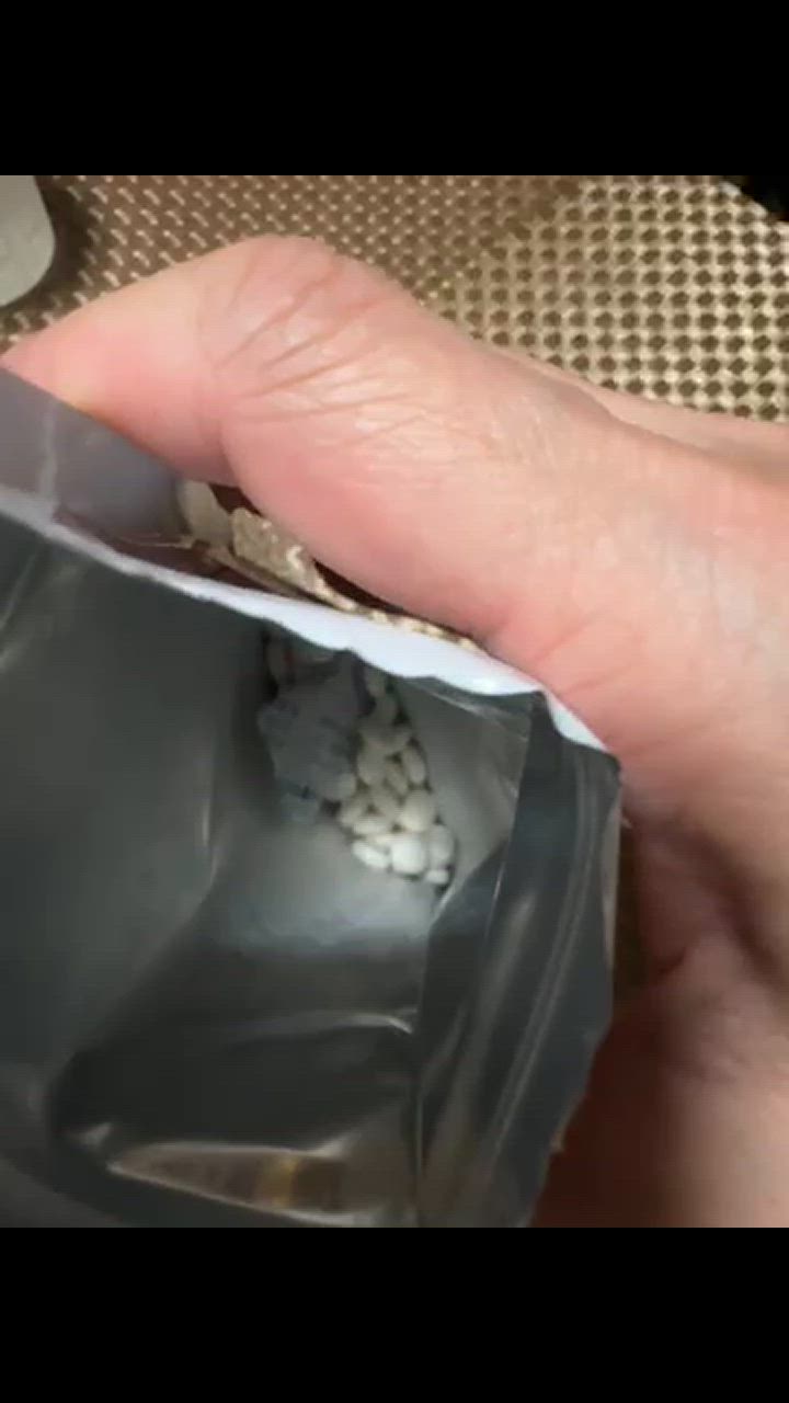 全体のレビュー動画のサムネイル | 1