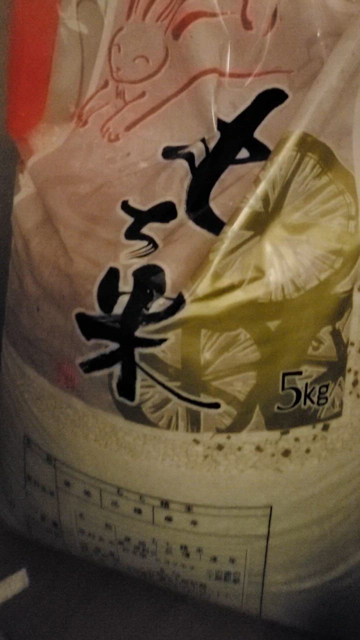 みーちーうるち米精米 赤米うるち玄米 300g - お米とお餅の販売・きすみの営農