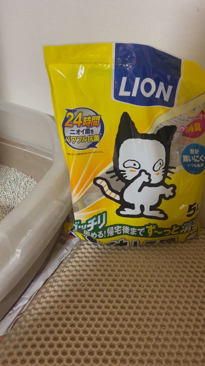 全体のレビュー動画のサムネイル | 8