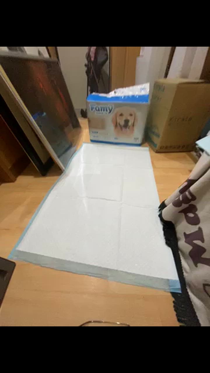 全体のレビュー動画のサムネイル | 7