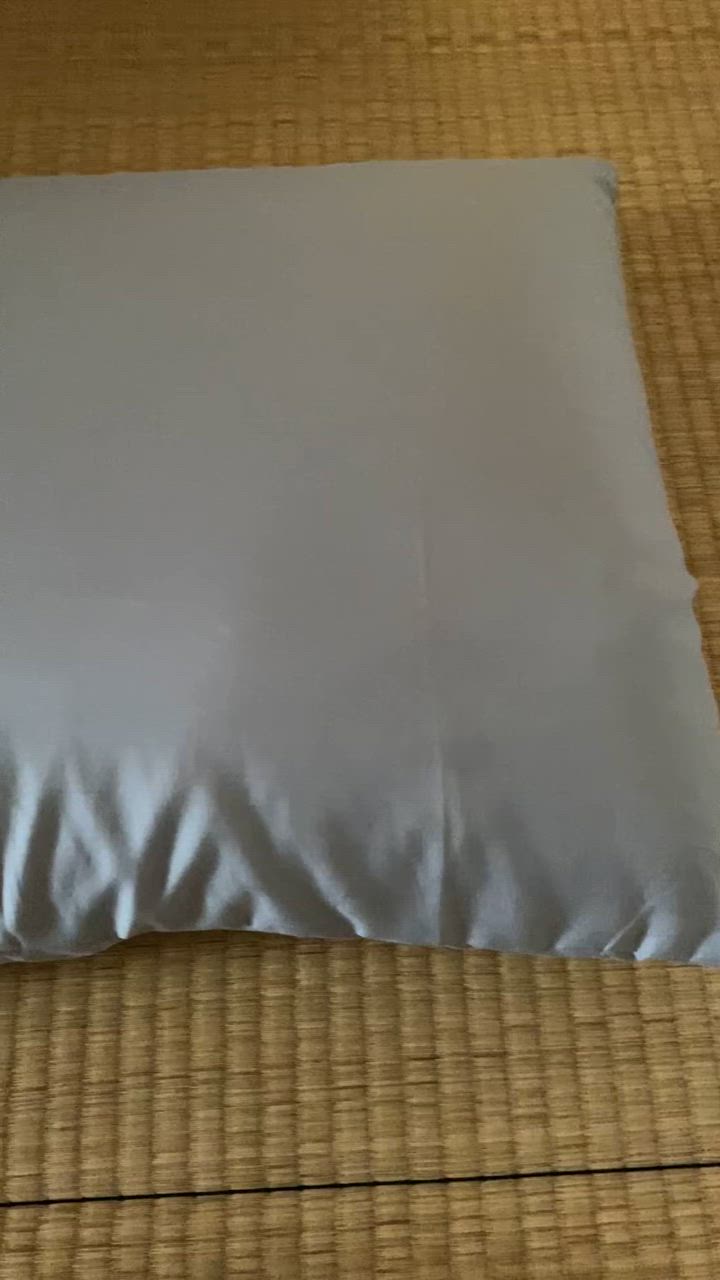 全体のレビュー動画のサムネイル | 0