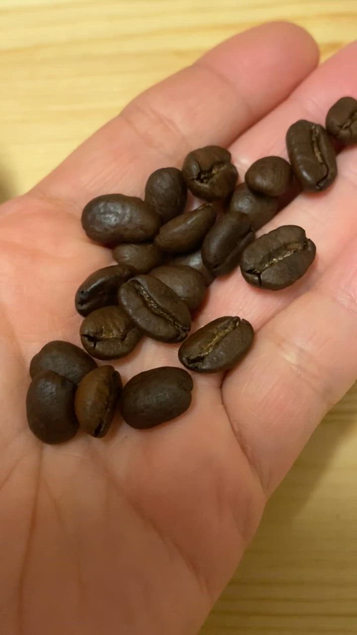 1件目のレビュー動画のサムネイル | 0