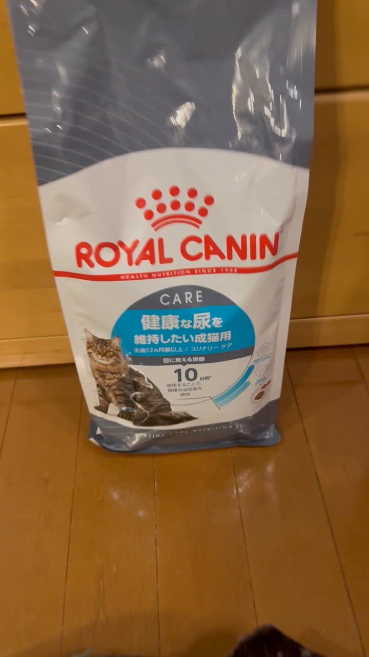 全体のレビュー動画のサムネイル | 0