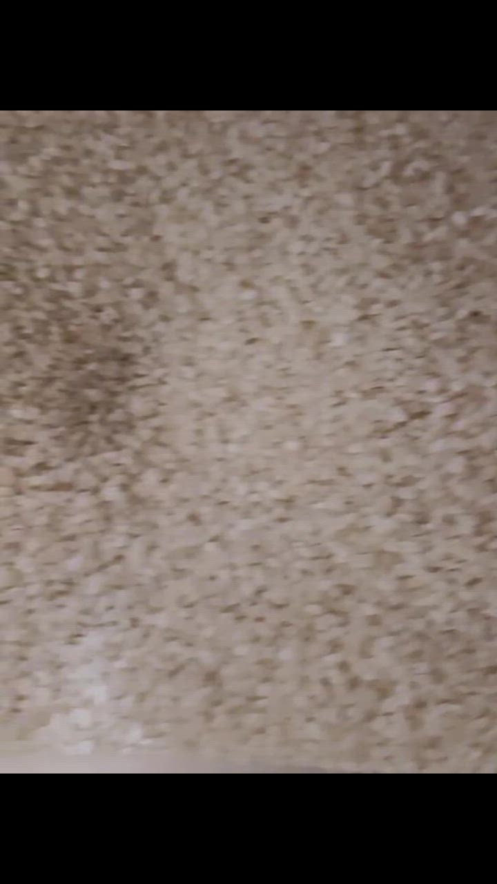 全体のレビュー動画のサムネイル | 8