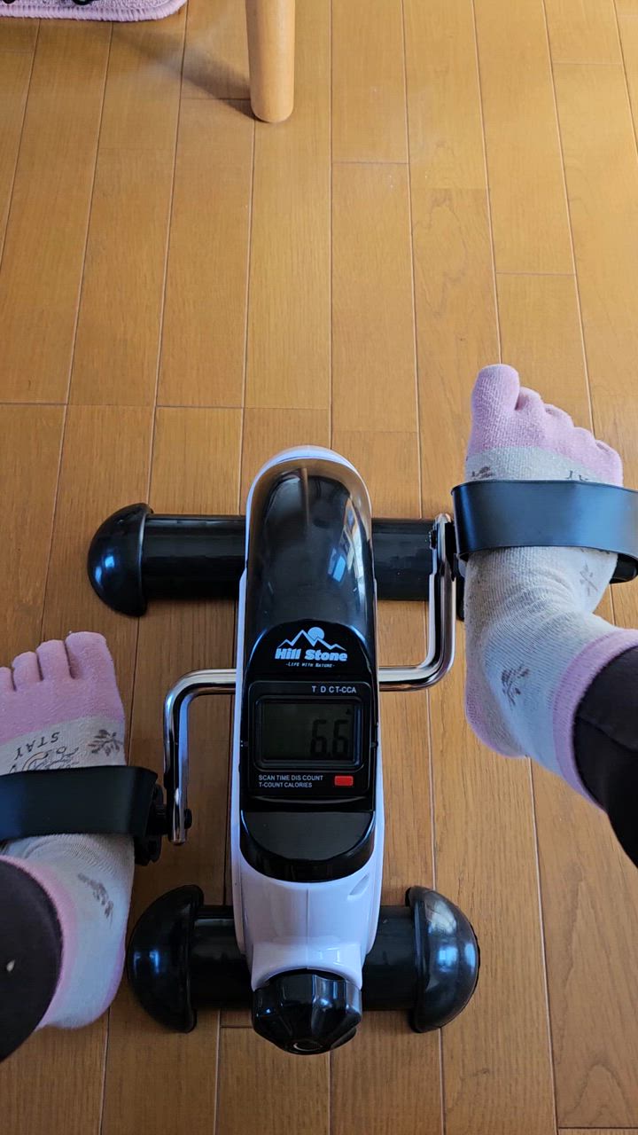 フィットネスバイク ミニ 静音 コンパクト エクササイズ 足痩せ