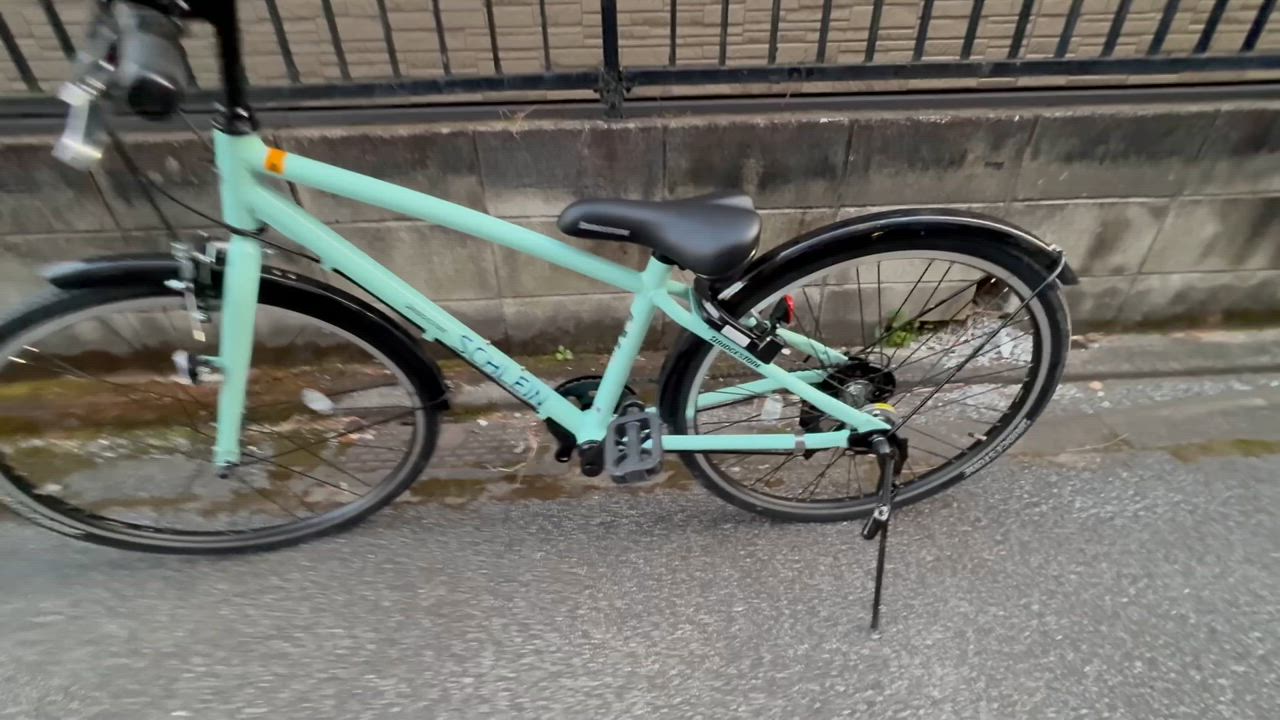 BRIDGESTONE 子供自転車 ブリヂストン シュライン24 24インチ 2025 7段