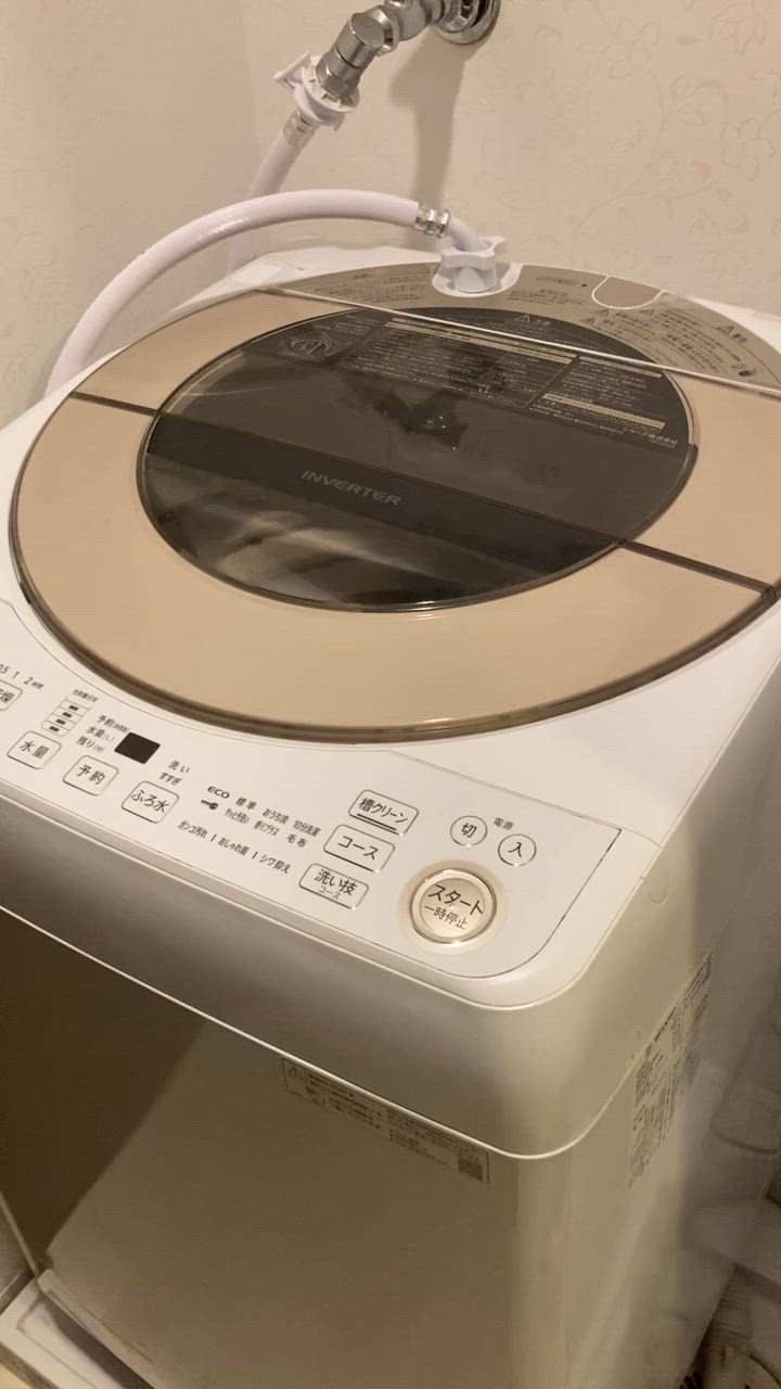 Viva ビバ ナノバブルウォッシュホース 正規品 洗濯ホース 洗濯