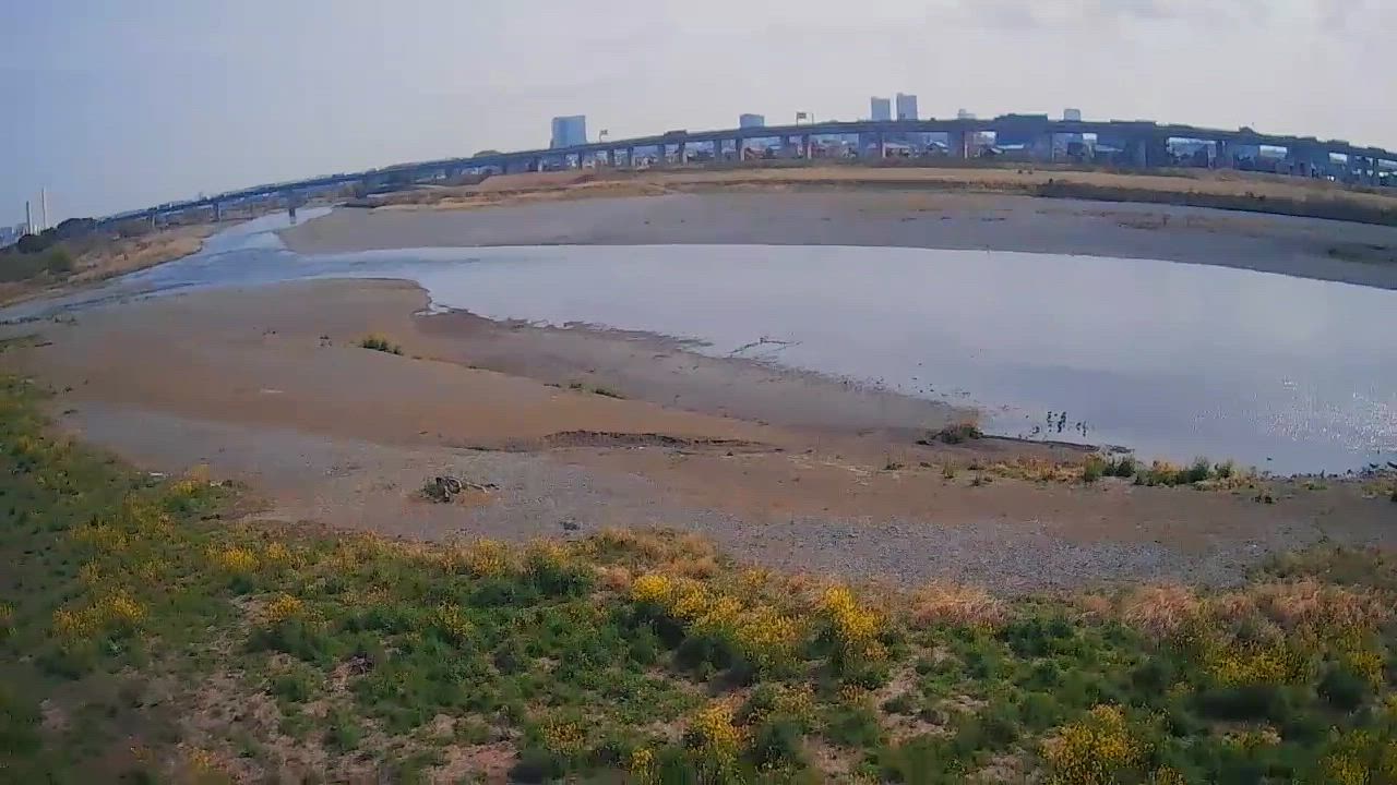 全体のレビュー動画のサムネイル | 0